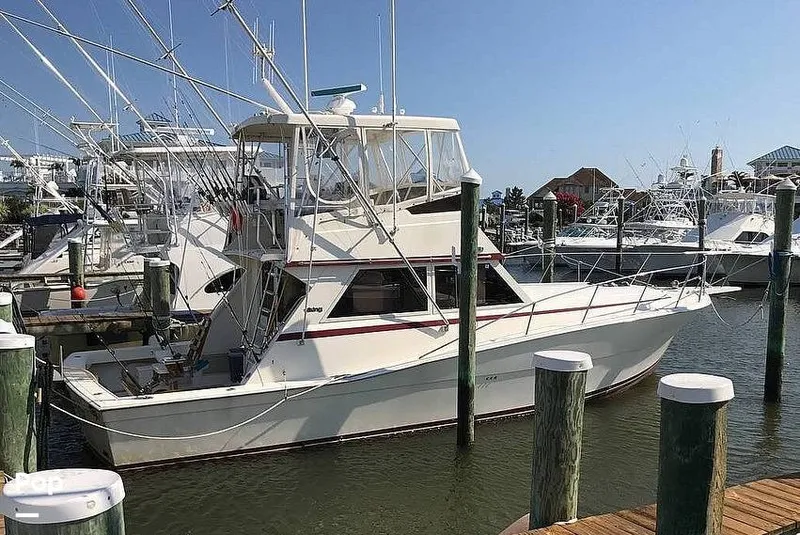 The Image of Viking 41 Convertible 1986 - 13884392