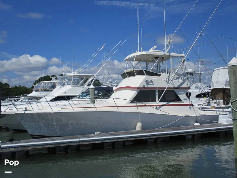 Slide: The Image of Viking 41 Convertible 1986 - 16686083