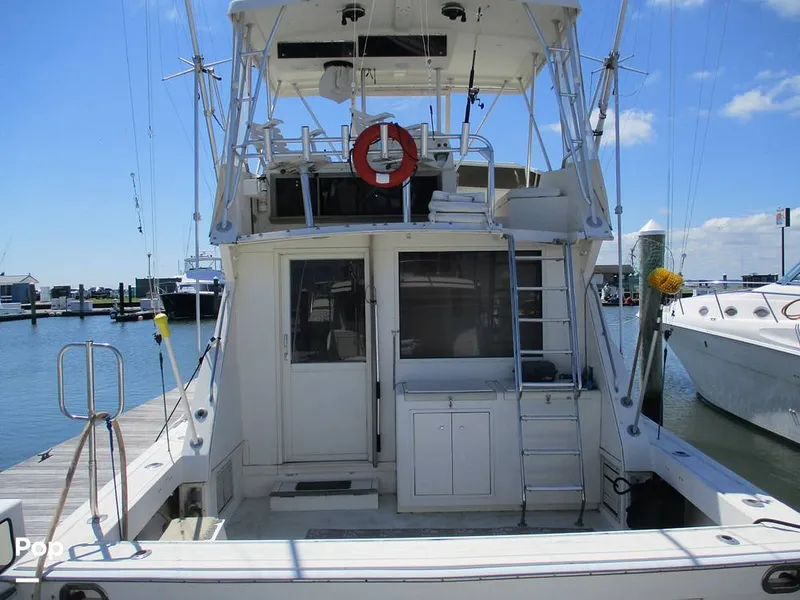 Slide: The Image of Viking 41 Convertible 1986 - 16686085