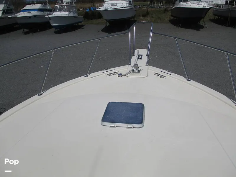 Slide: The Image of Viking 41 Convertible 1986 - 13940916