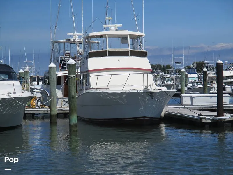Slide: The Image of Viking 41 Convertible 1986 - 16686100