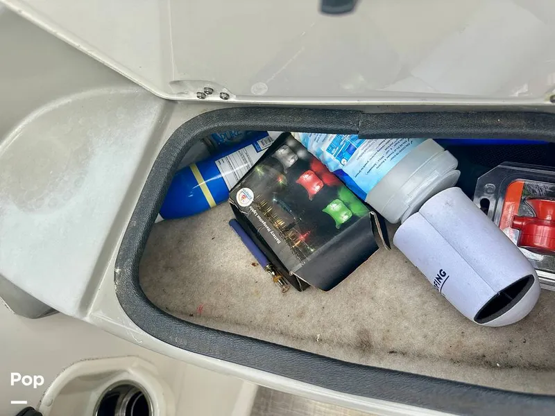 Slide: The Image of Stingray 198 LX 2018 - 14701324