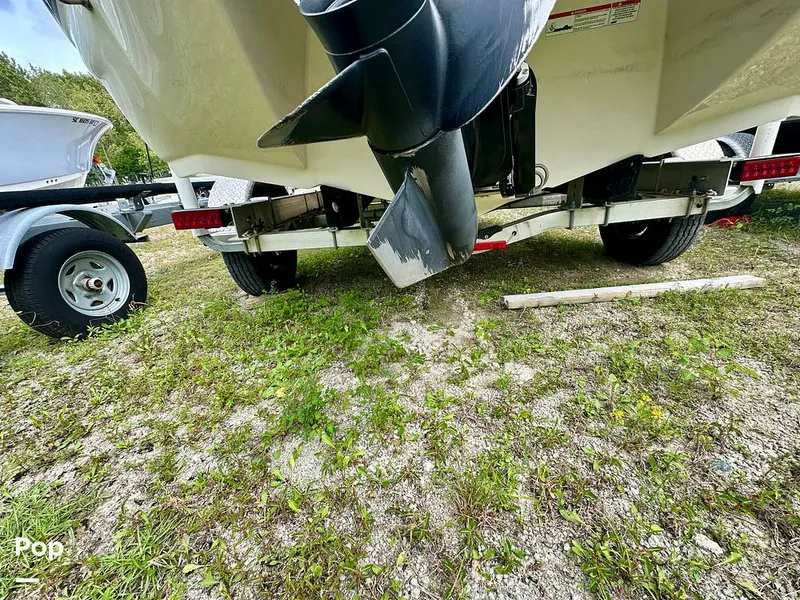 Slide: The Image of Stingray 198 LX 2018 - 14701369