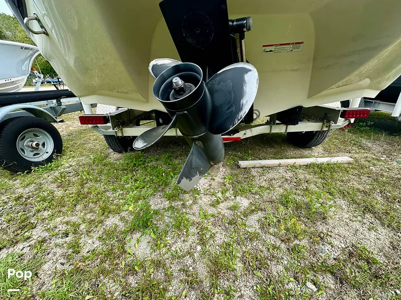 Slide: The Image of Stingray 198 LX 2018 - 14701370