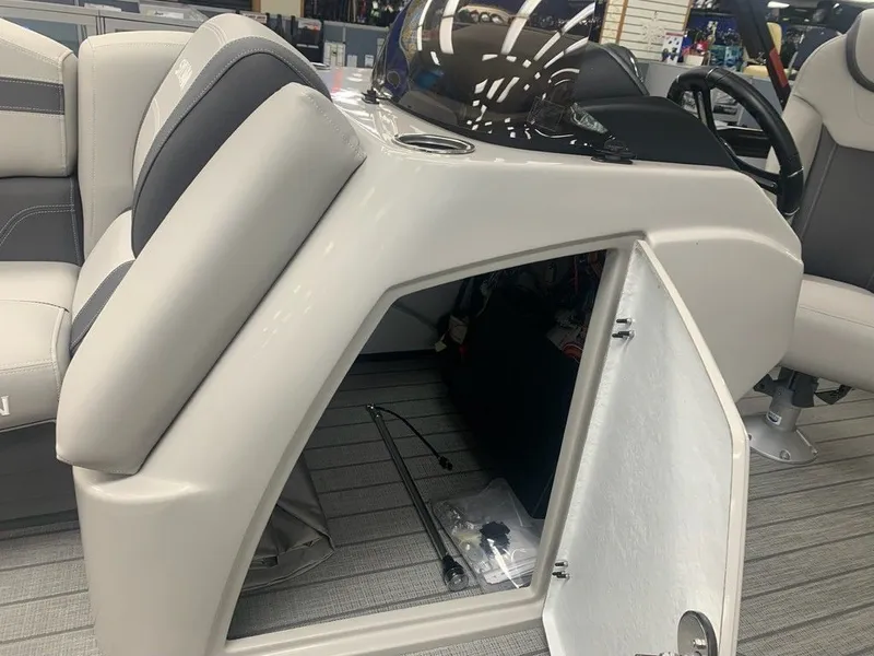 Slide: The Image of Sylvan L1 DLZ 2024 - 12