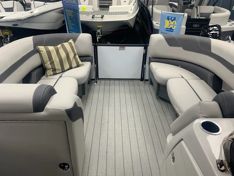 Slide: The Image of Sylvan L1 DLZ 2024 - 13