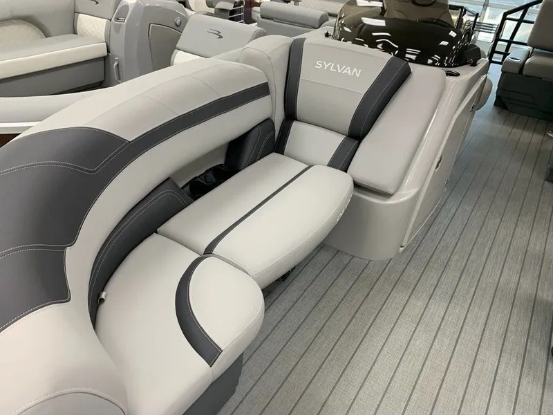 Slide: The Image of Sylvan L1 DLZ 2024 - 14