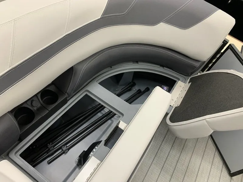 Slide: The Image of Sylvan L1 DLZ 2024 - 18