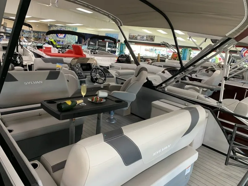 Slide: The Image of Sylvan L1 DLZ 2024 - 19