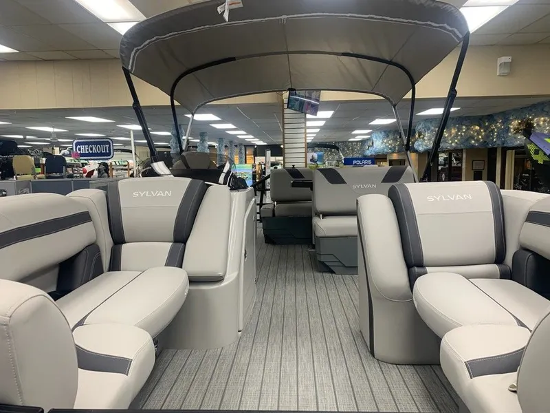 Slide: The Image of Sylvan L1 DLZ 2024 - 2