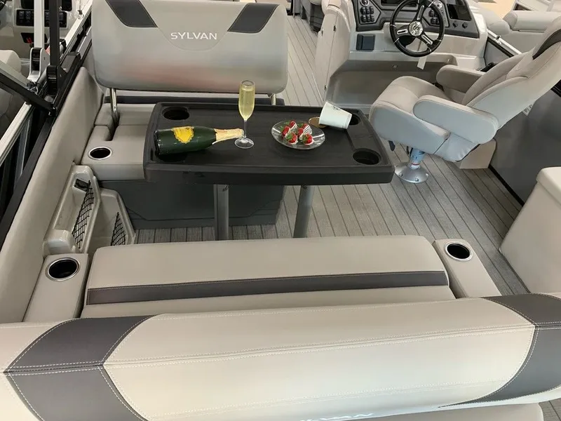 Slide: The Image of Sylvan L1 DLZ 2024 - 20