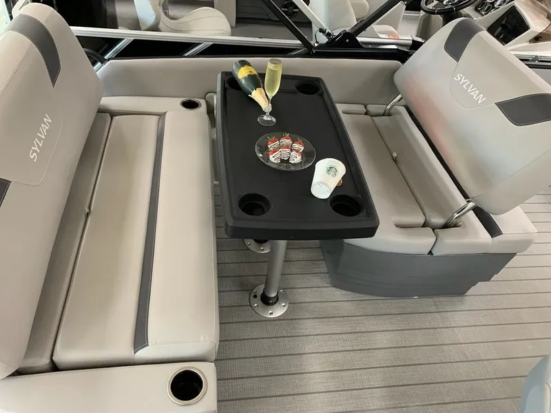 Slide: The Image of Sylvan L1 DLZ 2024 - 21