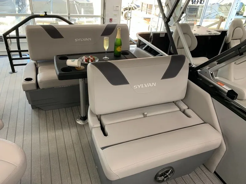 Slide: The Image of Sylvan L1 DLZ 2024 - 22