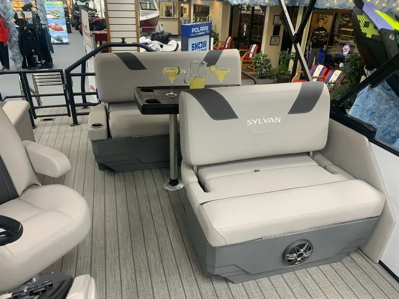 Slide: The Image of Sylvan L1 DLZ 2024 - 5