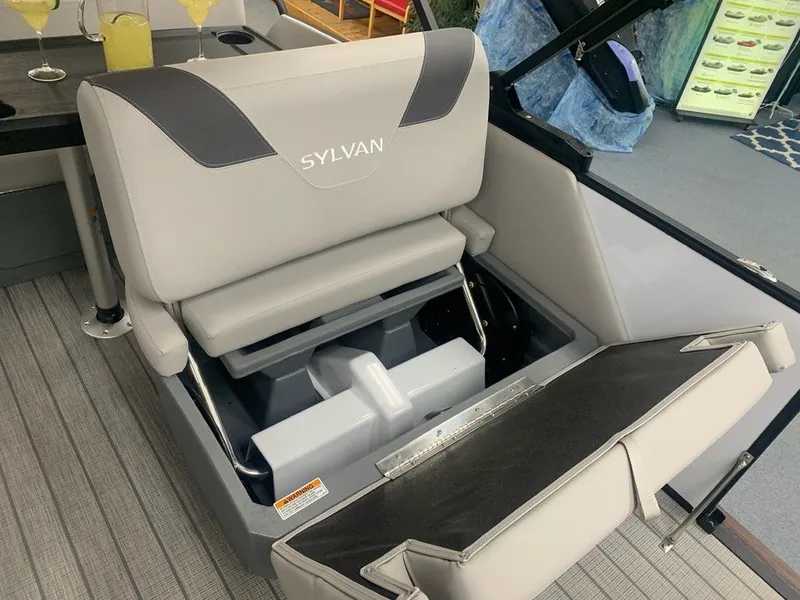 Slide: The Image of Sylvan L1 DLZ 2024 - 6