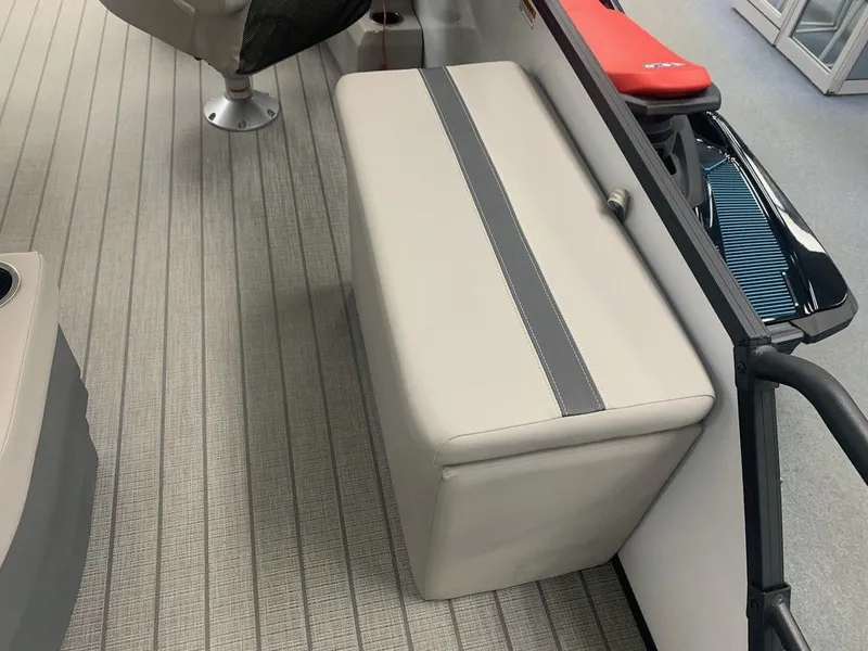 Slide: The Image of Sylvan L1 DLZ 2024 - 7