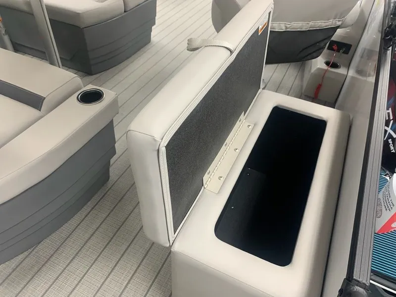 Slide: The Image of Sylvan L1 DLZ 2024 - 8