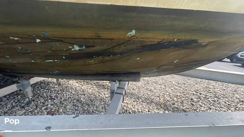 Slide: The Image of Sea Pro 228 DC 2008 - 14533516