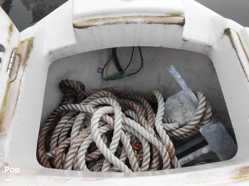 Slide: The Image of Monterey 194FS 2005 - 14778695