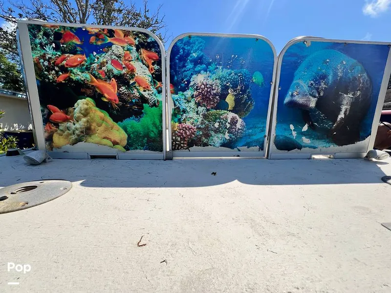 Slide: The Image of Fiesta Family Fisher 2014 - 13965787