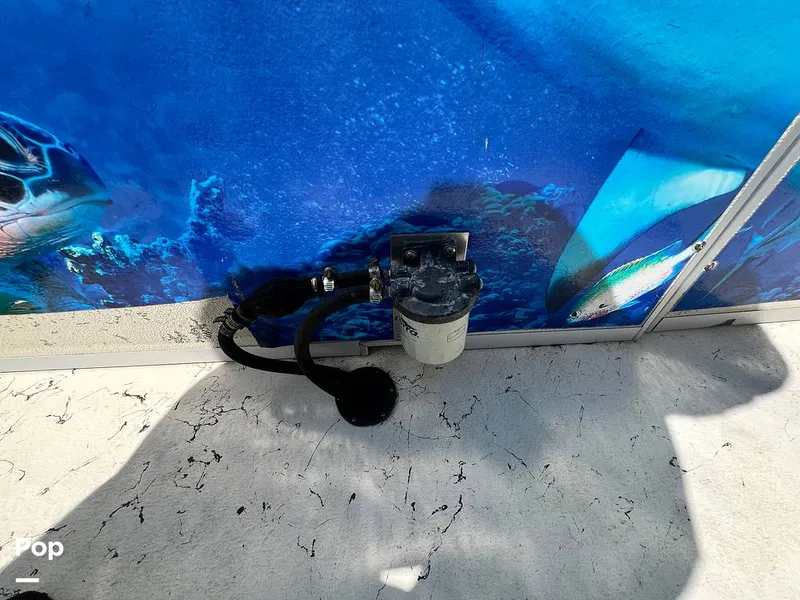 Slide: The Image of Fiesta Family Fisher 2014 - 13965819