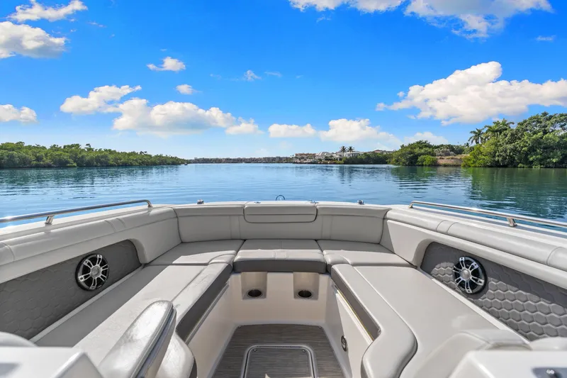 Slide: The Image of Sea Ray 290 SDX OUTBOARD 2021 - 13