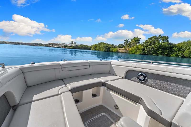 Slide: The Image of Sea Ray 290 SDX OUTBOARD 2021 - 15