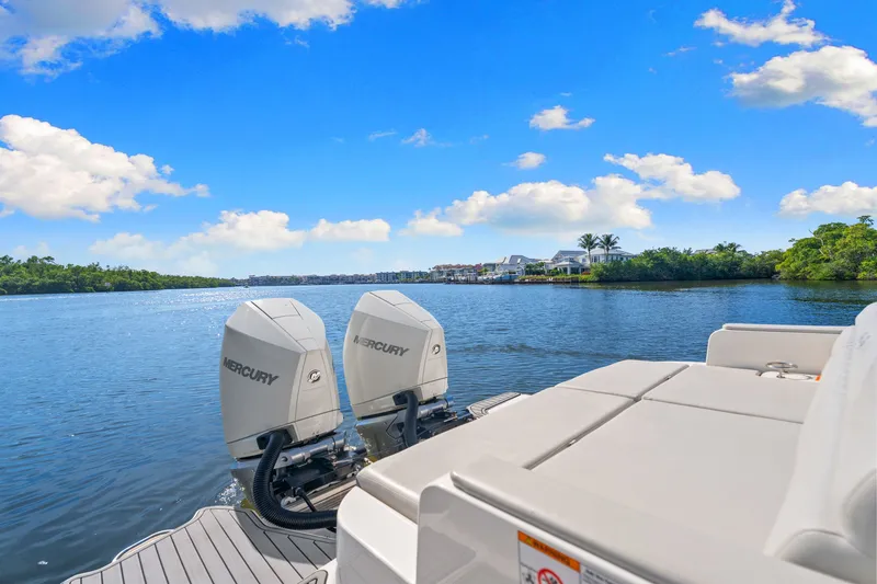 Slide: The Image of Sea Ray 290 SDX OUTBOARD 2021 - 37