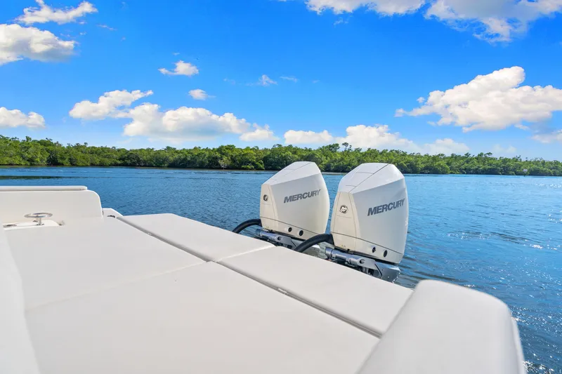 Slide: The Image of Sea Ray 290 SDX OUTBOARD 2021 - 39