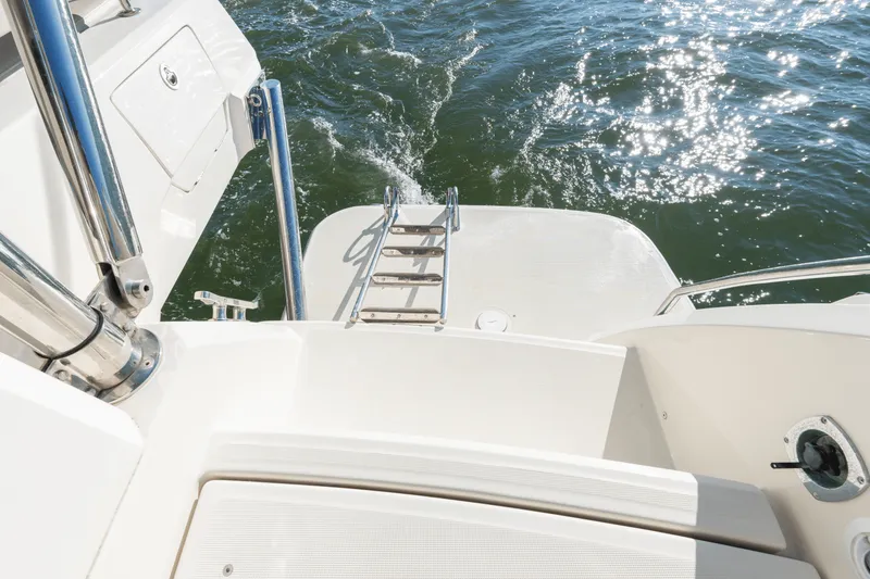 Slide: The Image of Aquila 44 2019 - 35