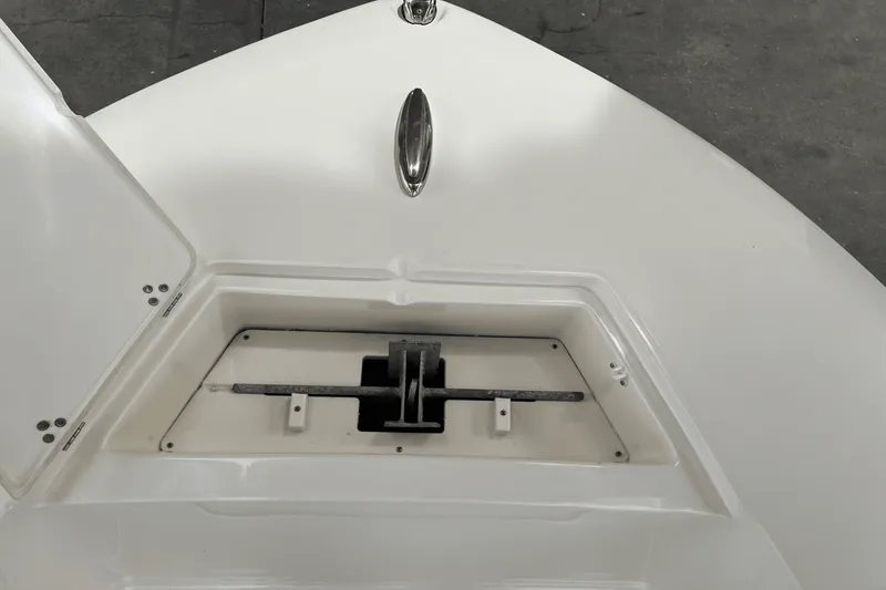 Slide: The Image of Scout 195 SF 2021 - 36