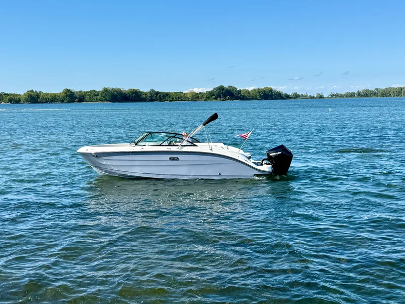 The Image of Sea Ray SDX 230 Outboard 2026 - 0