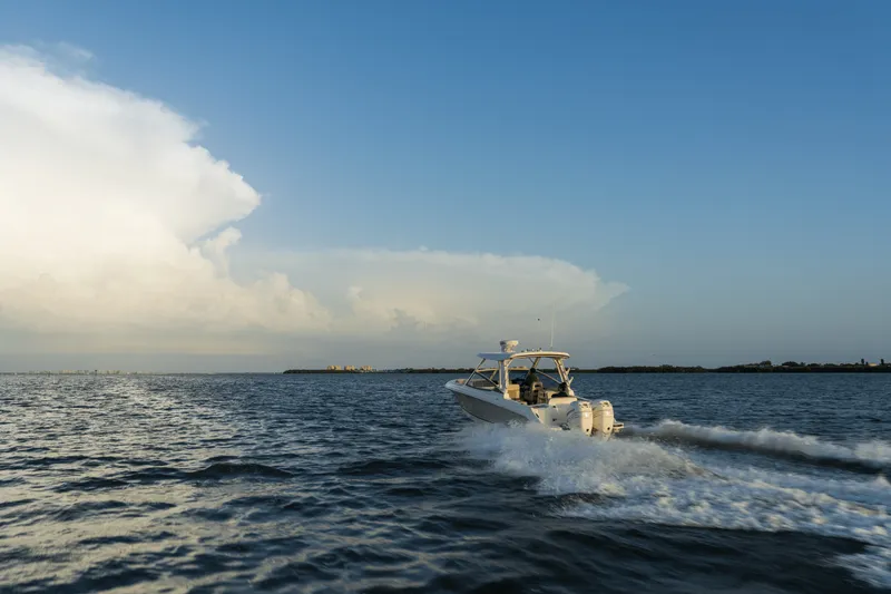 Slide: The Image of Boston Whaler 280 Vantage 2026 - 12