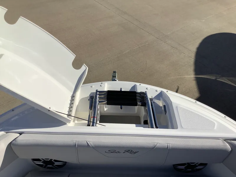 Slide: The Image of Sea Ray SDX 230 2026 - 31