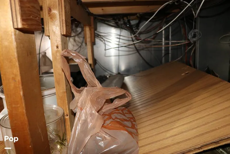 Slide: The Image of Below Living Area Storage - 14138162