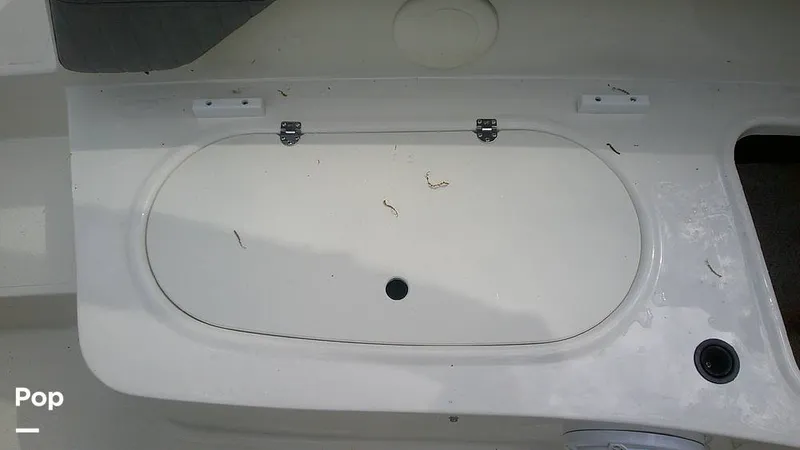 Slide: The Image of Stingray 212 SC 2020 - 14040910