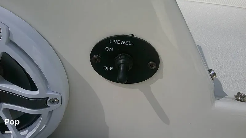 Slide: The Image of Stingray 212 SC 2020 - 14040953