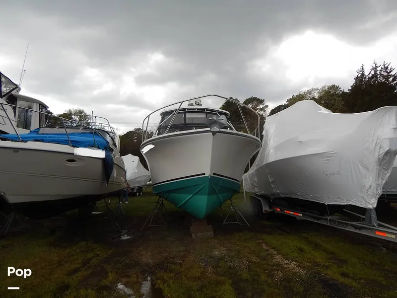 Slide: The Image of Carolina 28 1997 - 14117496