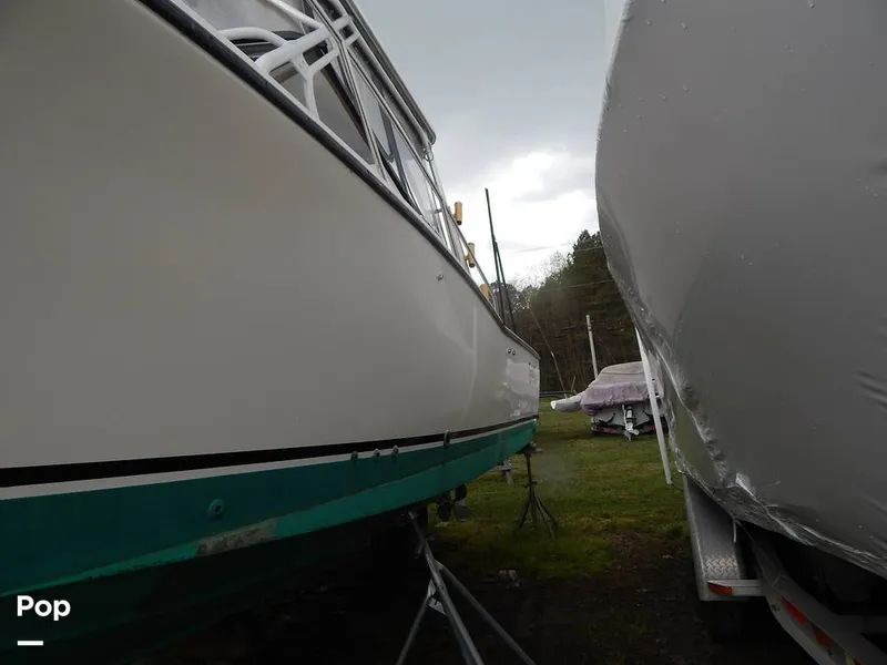 Slide: The Image of Carolina 28 1997 - 14117484