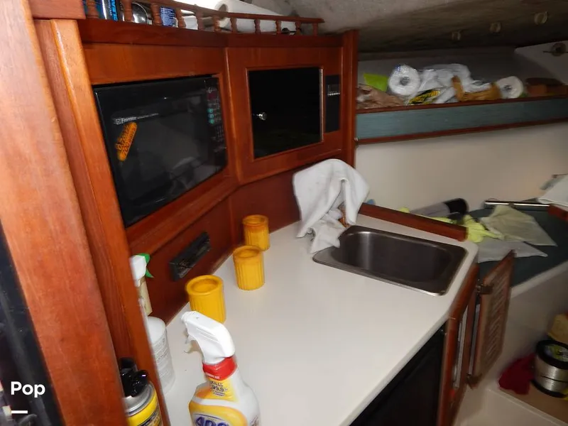 Slide: The Image of Carolina 28 1997 - 14117546