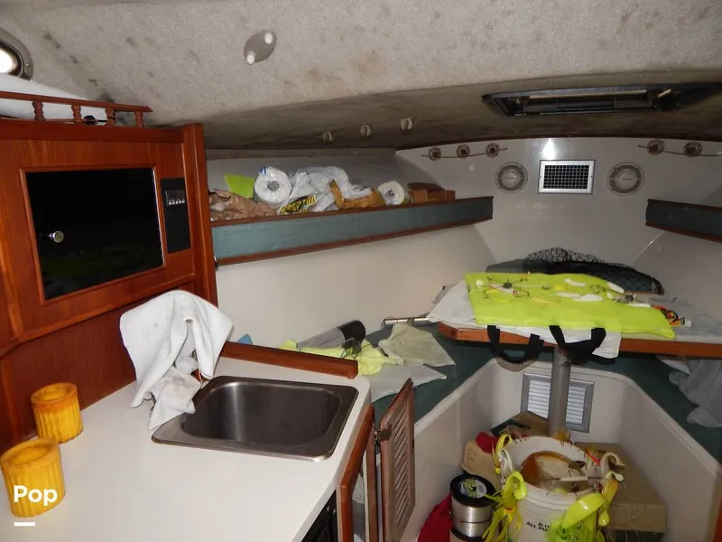 Slide: The Image of Carolina 28 1997 - 14117547