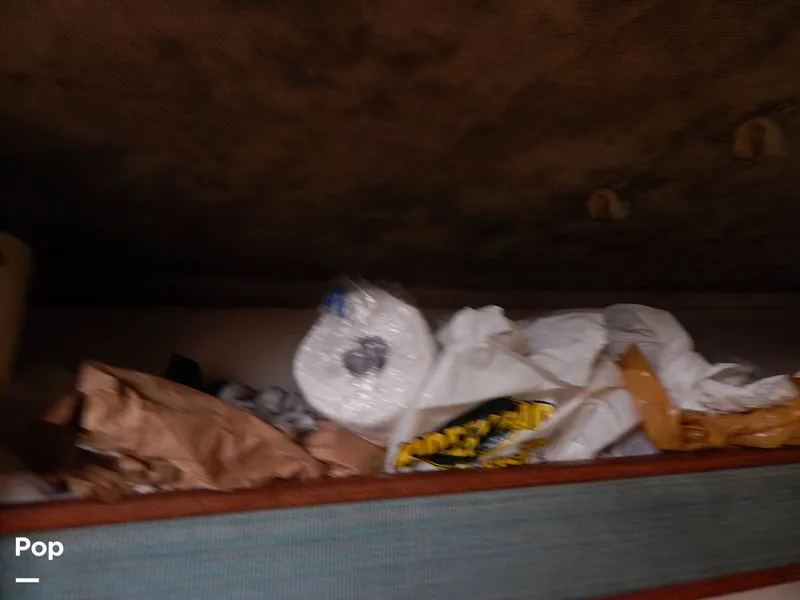 Slide: The Image of Carolina 28 1997 - 14117554