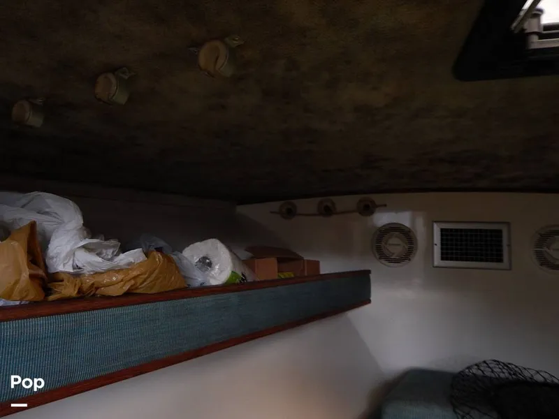 Slide: The Image of Carolina 28 1997 - 14117555