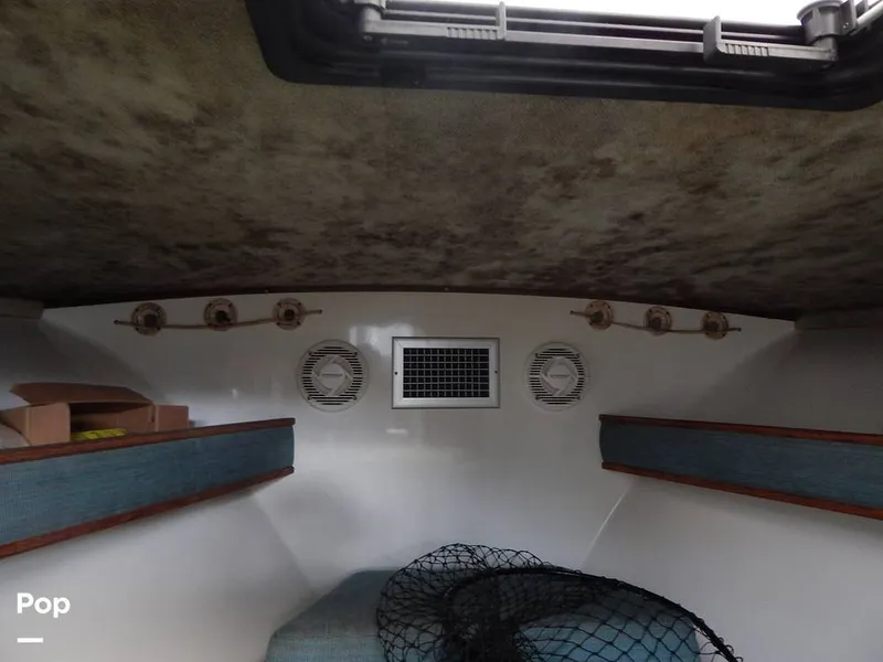 Slide: The Image of Carolina 28 1997 - 14117556