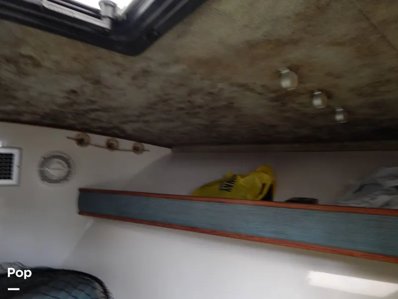 Slide: The Image of Carolina 28 1997 - 14117557