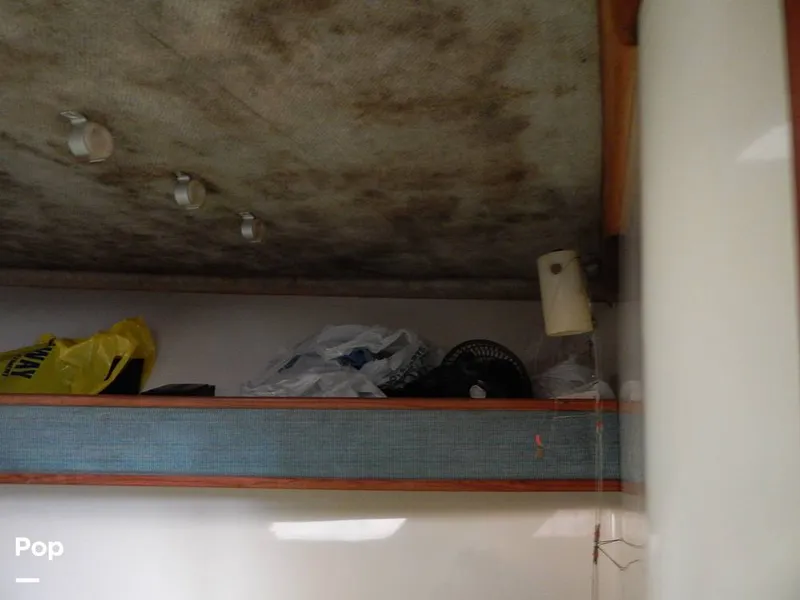 Slide: The Image of Carolina 28 1997 - 14117558