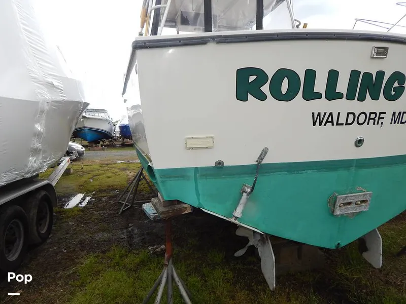 Slide: The Image of Carolina 28 1997 - 14117488