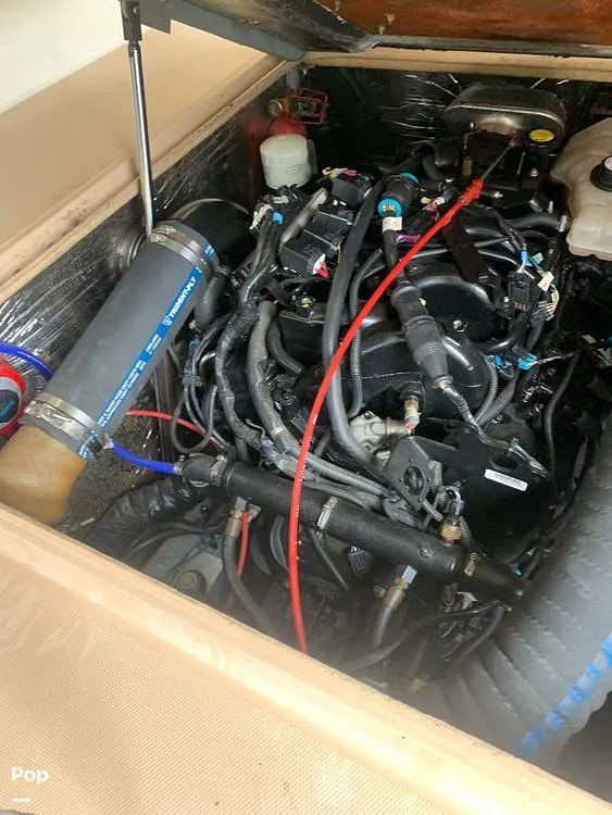 Slide: The Image of Carolina 28 1997 - 14008673