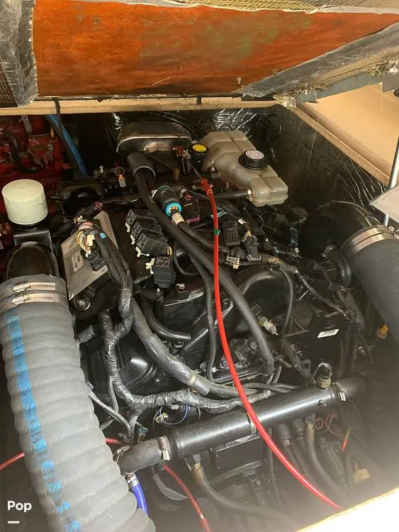 Slide: The Image of Carolina 28 1997 - 14008674