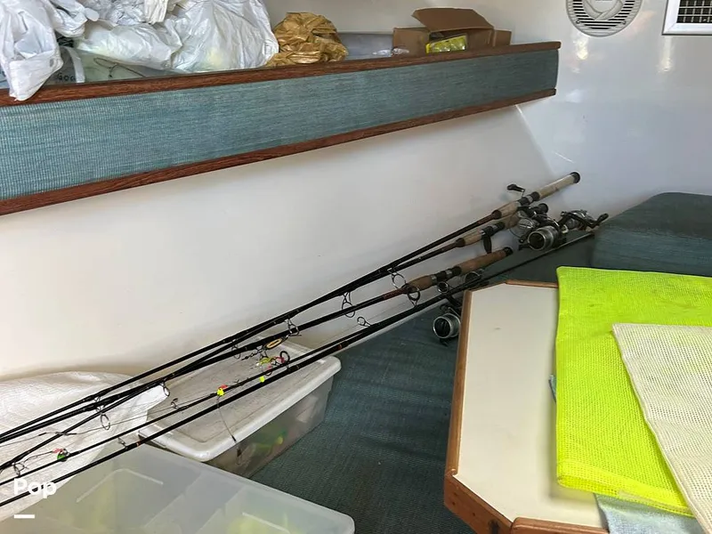 Slide: The Image of Carolina 28 1997 - 15942417